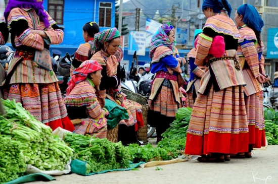 9 légumes les plus populaires au Vietnam