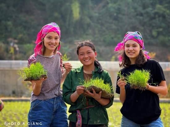 Comment aller au Vietnam pas cher - Un Guide Complet pour Voyager Économiquement