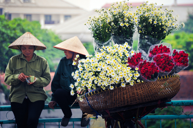 Meilleure période Vietnam - Quand partir ?