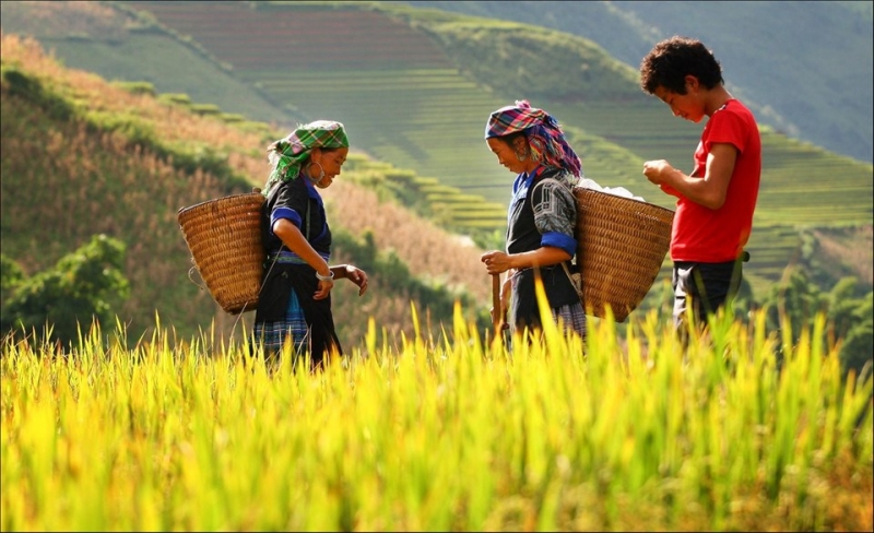 Découvrez la vie culturelle Nord du Vietnam