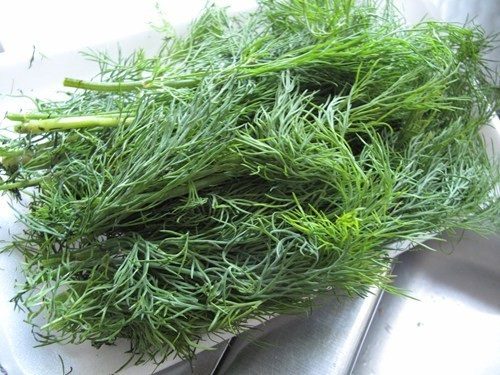 Quelles herbes trouve-t-on dans la cuisine vietnamienne