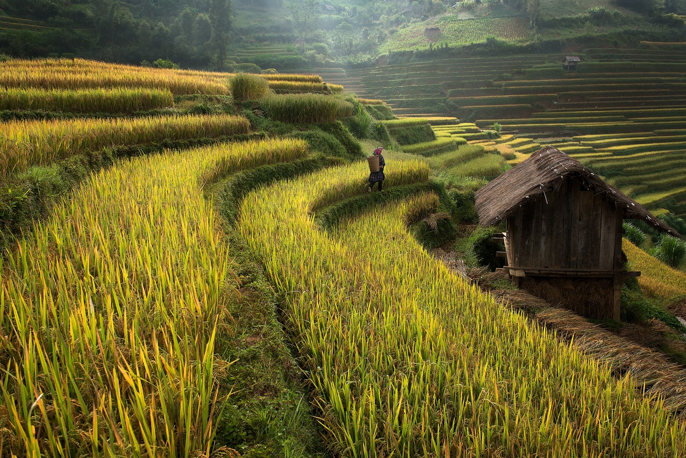 Voyage au Vietnam avec Trekking