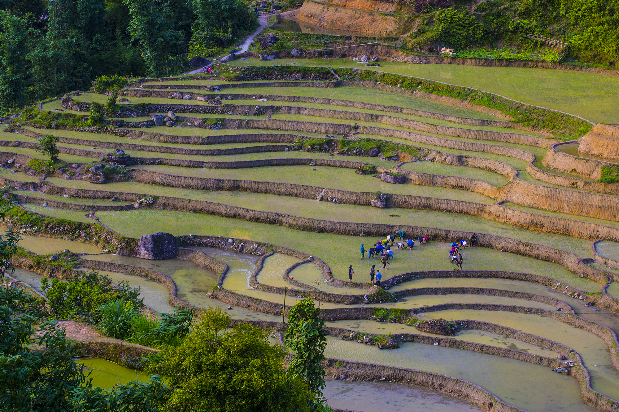 Circuit dans le Nord-Ouest du Vietnam Qu'y a t'il là?