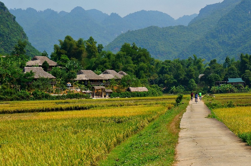 Circuit dans le Nord-Ouest du Vietnam Qu'y a t'il là?