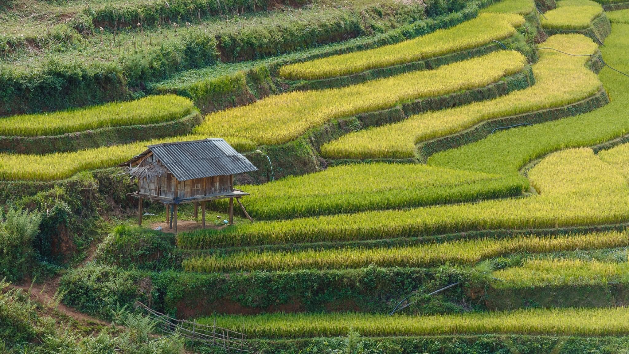 Circuit dans le Nord-Ouest du Vietnam Qu'y a t'il là?