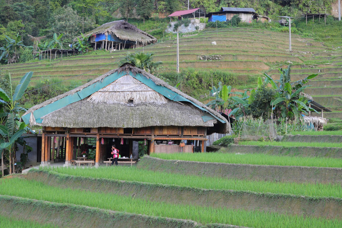 Meilleure période Vietnam - Quand partir ?